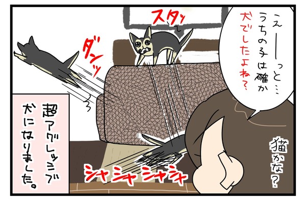 20170717_4