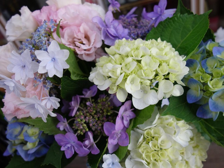 th_DSC07077