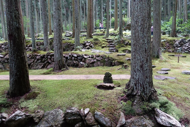 th_DSC04699