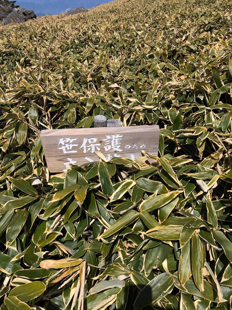 th_IMG_4671