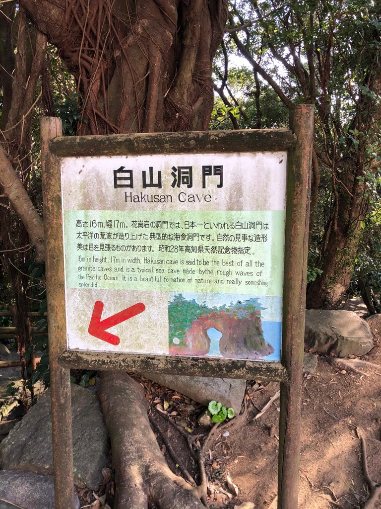th_IMG_4358