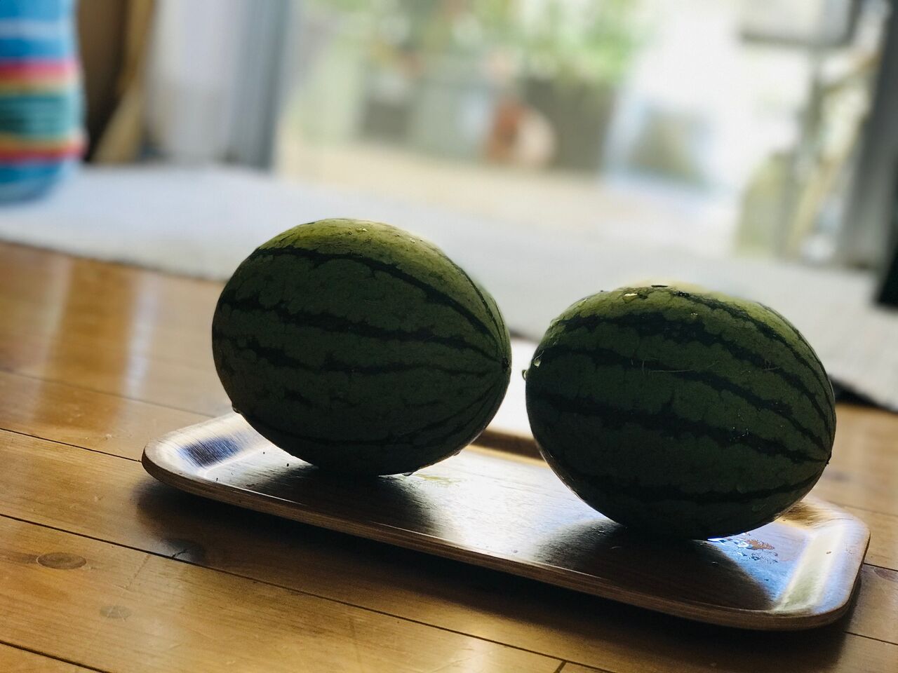 スイカの収穫 うちださけのかい