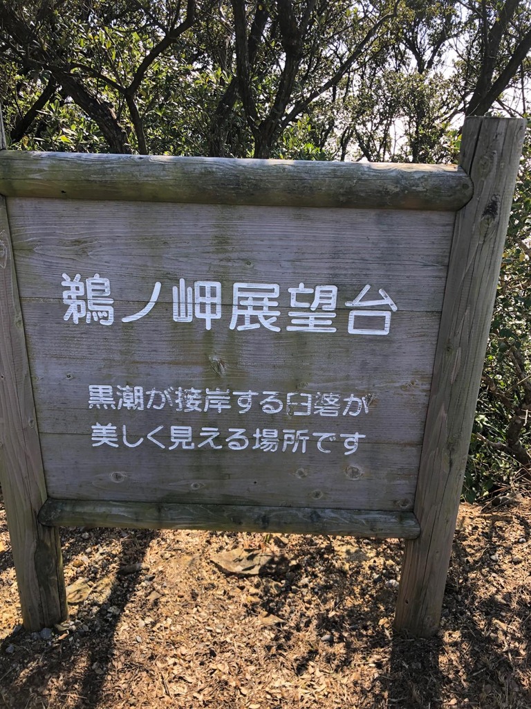th_IMG_4316