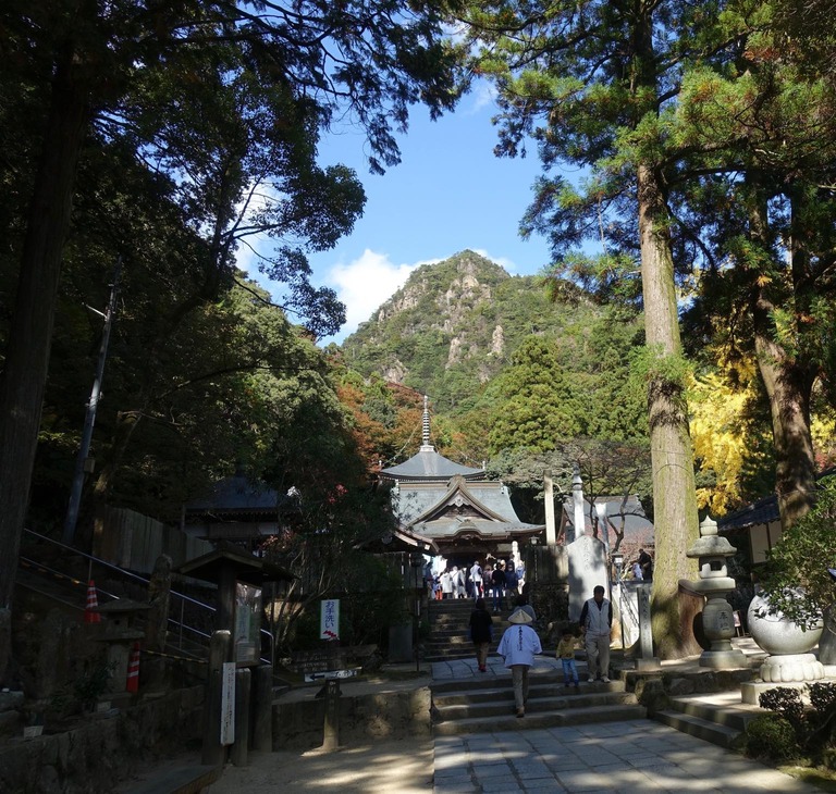 th_DSC04969