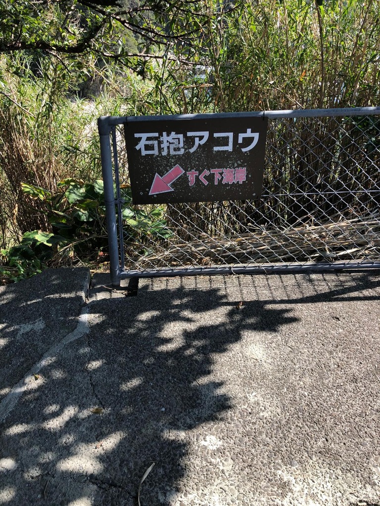 th_IMG_4288