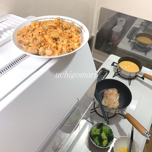 ０１３０チキンライス