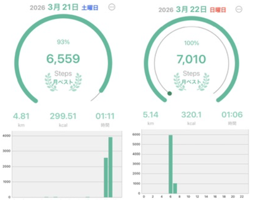 スクリーンショット 2026-03-22 093141