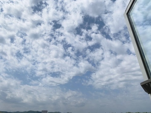 E9B0177D-FD6E-4E98-8E4D-21097D7EA499