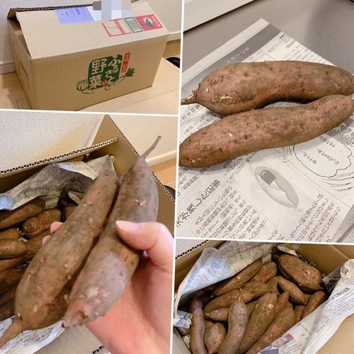 29E94466-D991-4A66-915D-D52BBC903186