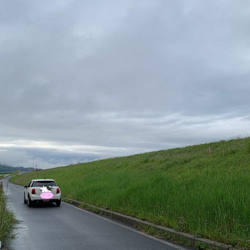 36F1CABA-7653-4E6C-8107-60F173B27442