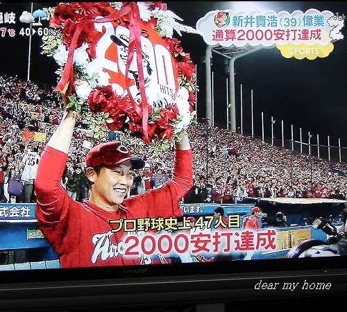 3644d848.png