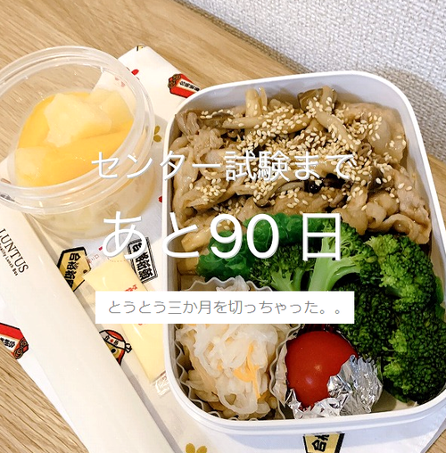1019お弁当90日