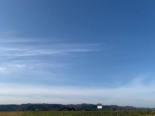 8BEE8E39-F6AB-404D-8CFF-4D1493A12B4C