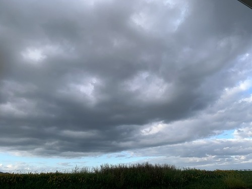 A1025D96-4143-4804-8C15-FCE87BF0FF98