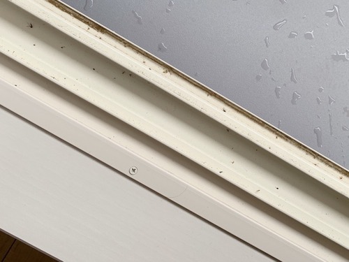 C26F7E0B-F3BB-4D73-8941-781EA5EFF560