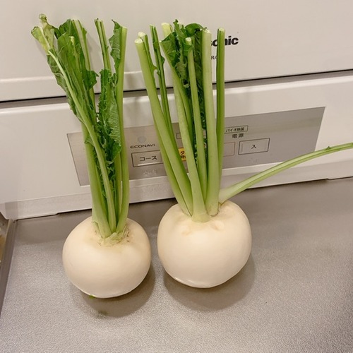 89123F0B-19B3-4E41-8C1F-2F731DBF0D7F