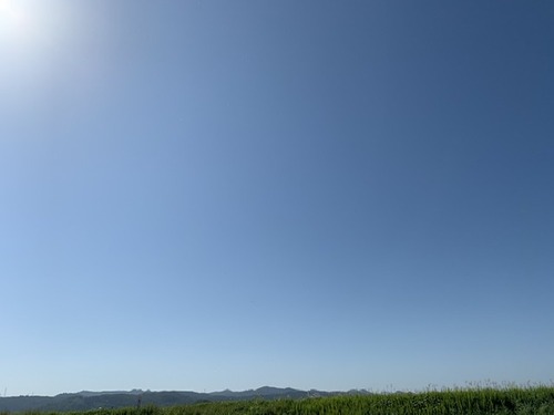 45A656FF-6987-414A-9222-AA586B059BA0