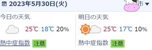 00C94E3C-DEDB-4D78-9419-9B894F0A8AD7