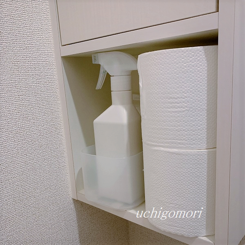0115トイレビフォ (2)