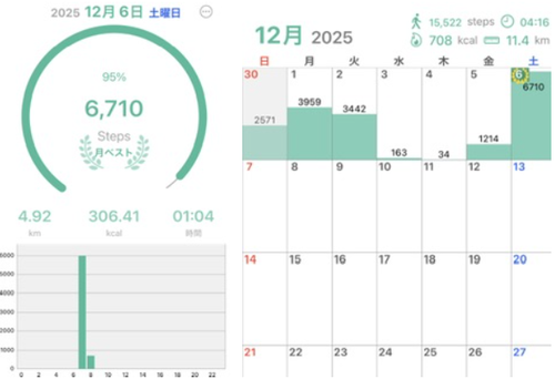 スクリーンショット 2025-12-06 102149