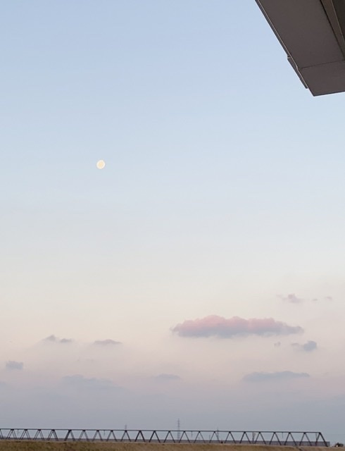 C6C13C23-C57D-4608-8B7D-18826F663F4D