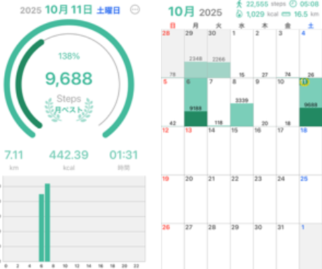 スクリーンショット 2025-10-11 094629