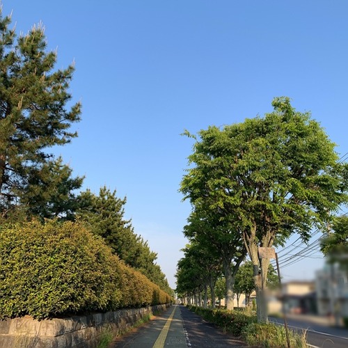 C2FCD33C-A8AF-4C4F-885C-D756AB397E67