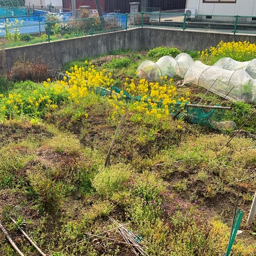 E0572960-DD43-4FB9-91B0-3605A0AF6AF9