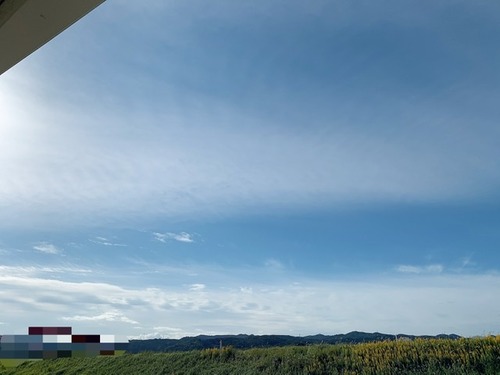 60128236-3076-4560-A0CF-3A66C27383B6