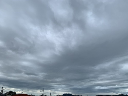 18C0FD37-55DC-45D6-BAE6-485F67302FA1