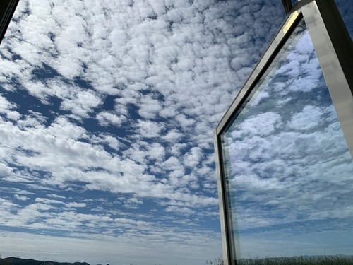 29EBB351-1B24-4A36-BA73-BE26C0A771D8