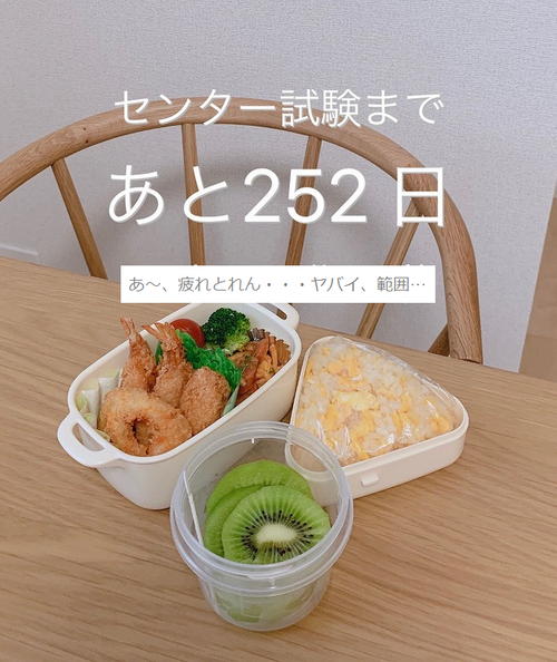 お弁当252