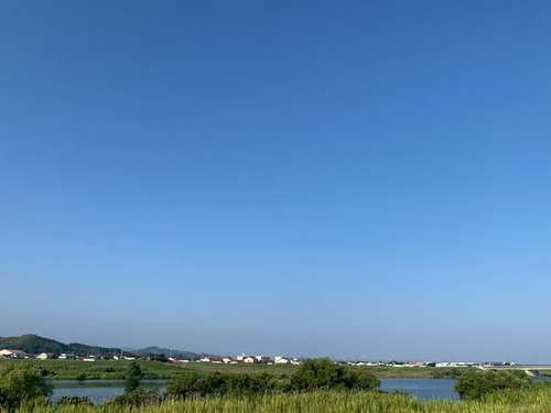 IMG_9917