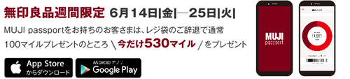 キャプチャ