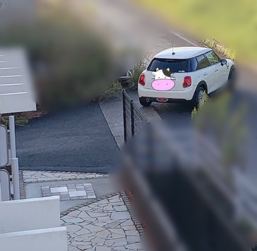 C56D50AD-99C7-4E8A-916F-52C5E67696B8