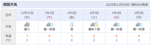 スクリーンショット 2025-12-29 074141