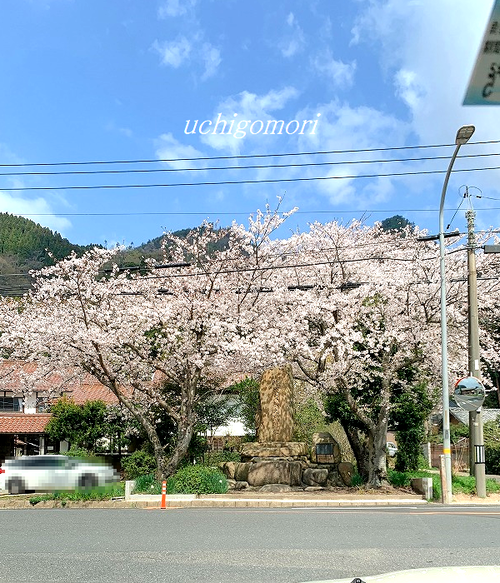 0402桜