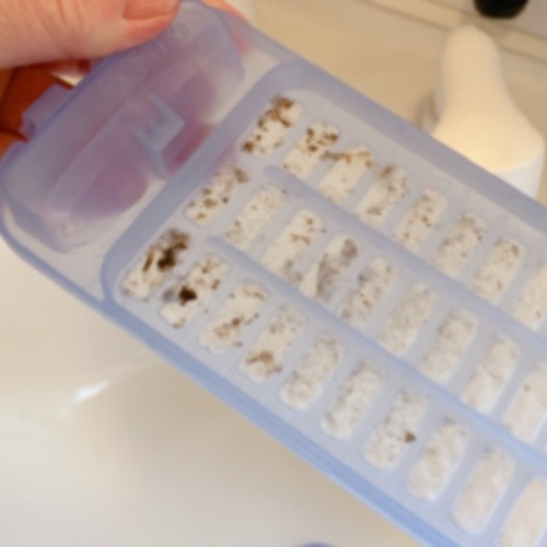 85B5F4AD-E60F-406E-BF10-B9F723651294