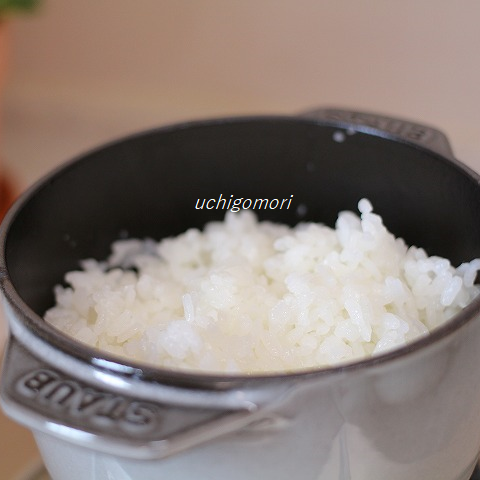 GOHAN2
