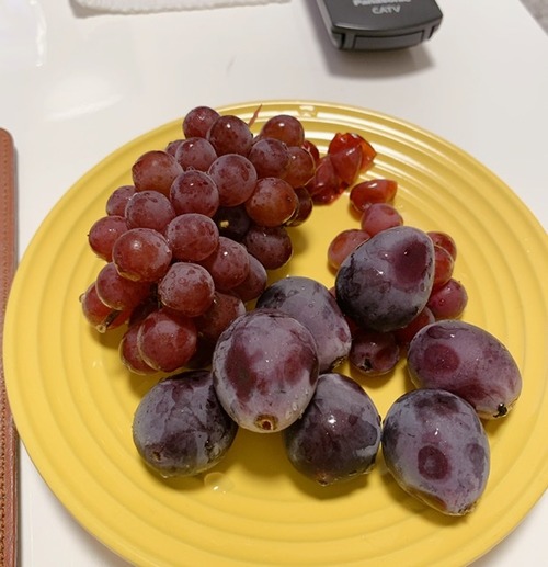 4839CDDF-DF5D-444E-8889-F2C48F9CAAE1