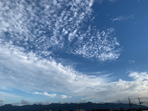 DD498342-4402-4E9C-AF16-D234A0970016