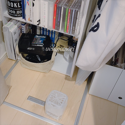 816クロゼット内床 (2)