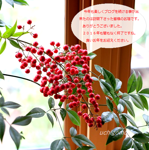 年末挨拶