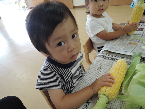 DSCN3109