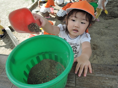 DSCN3214