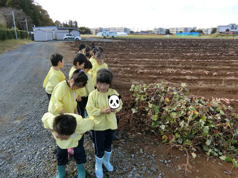 BlogPaint