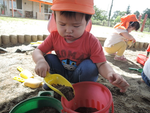 DSCN3239