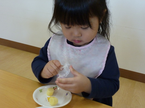 P1030049