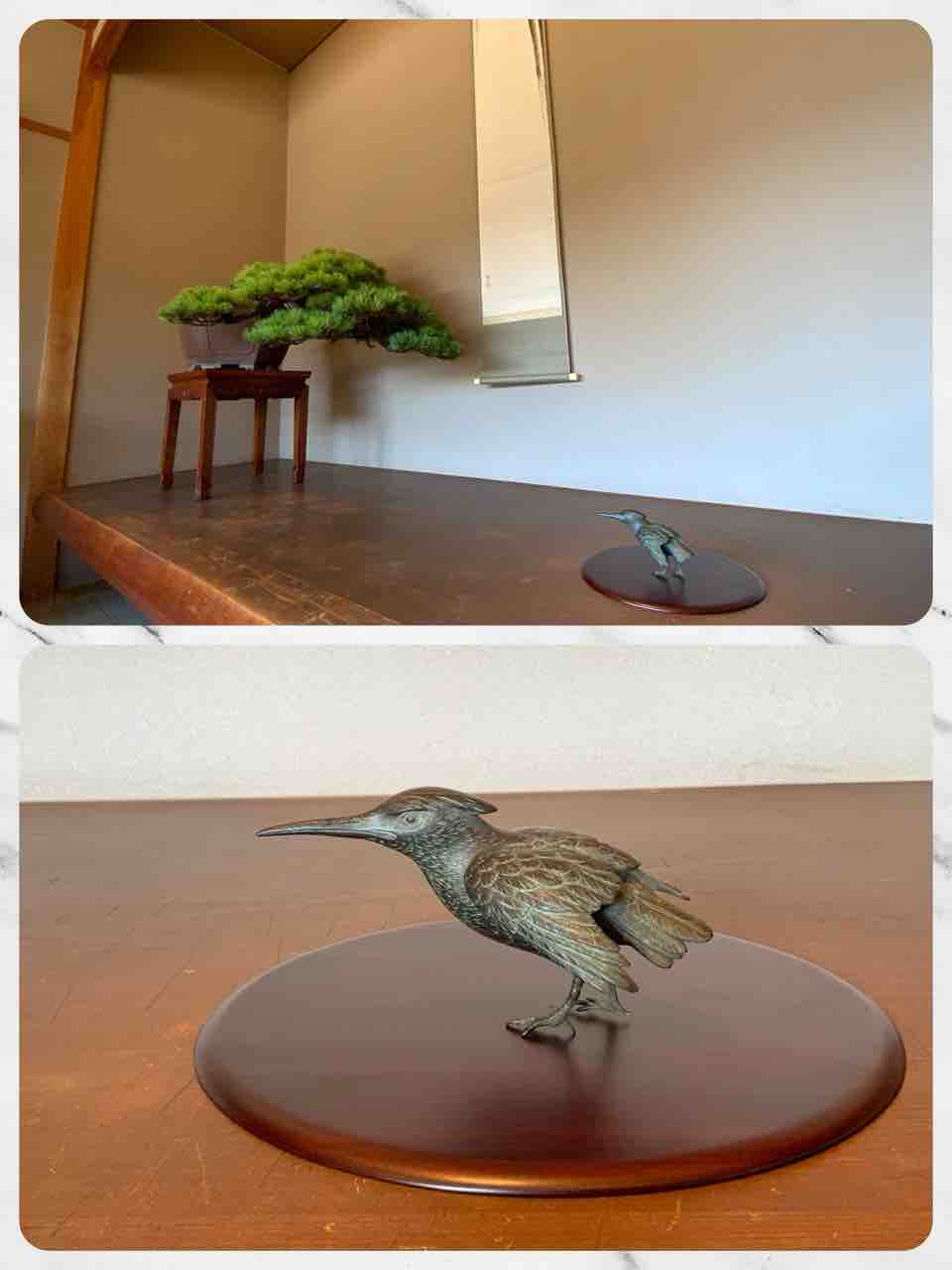 立秋❗️“松“ の床の間飾り‼️ : 雨竹 盆栽 水石 便り