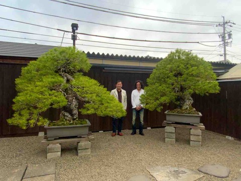 畏友・鈴木伸二邸 受け継がれる250年前よりの大盆栽！ : 雨竹 盆栽